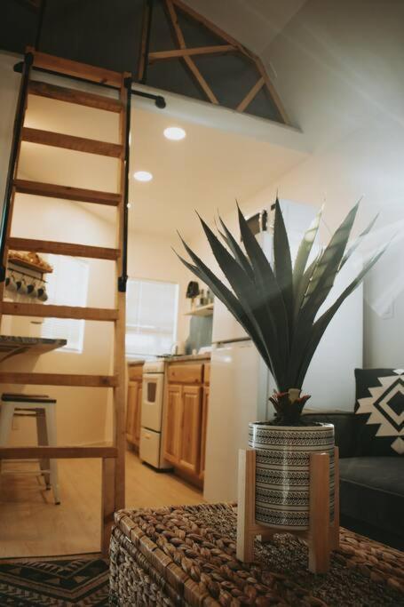 Holiday home Agave Tiny House At Cactus Flower-hot Tub-pet Friendly-no Pet Fees!