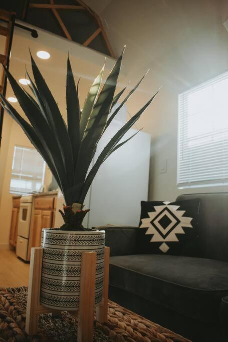 Agave Tiny House At Cactus Flower-hot Tub-pet Friendly-no Pet Fees! Holiday home *