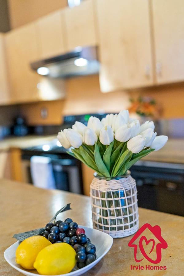 Elevated Route 66 Abq Penthouse- An Irvie Albuquerque