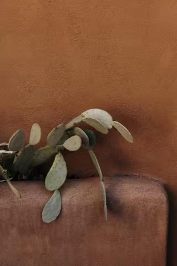 Holiday home Group Getaway: Serene Adobe Retreat 4-11 Guests *