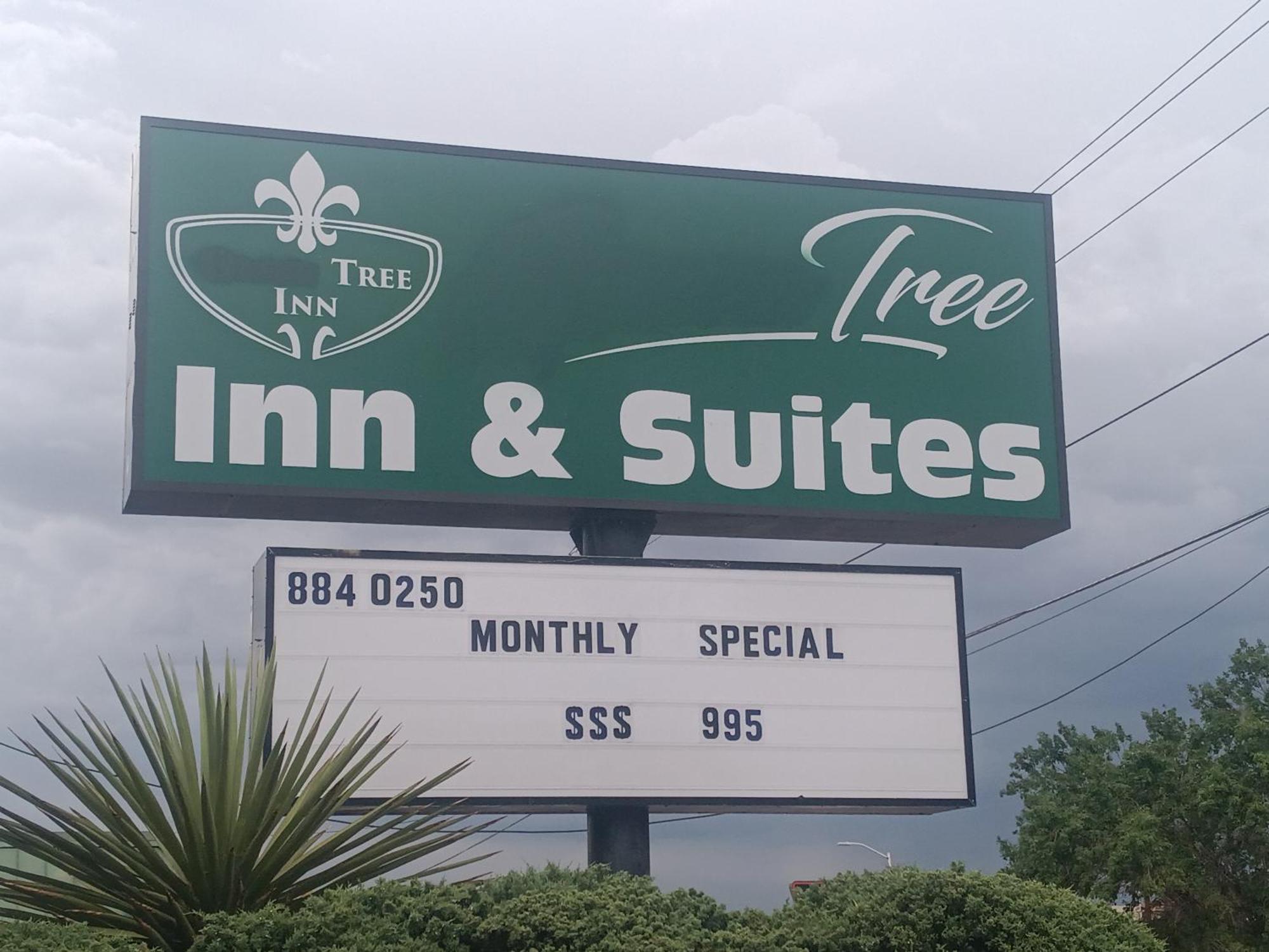 Hotel Tree &