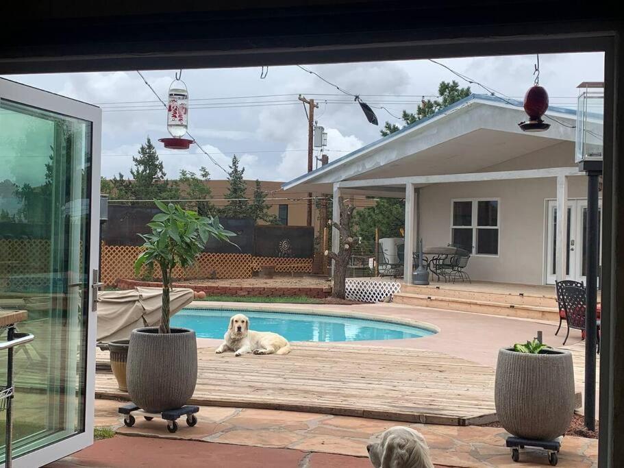 Holiday home Sneakaway In