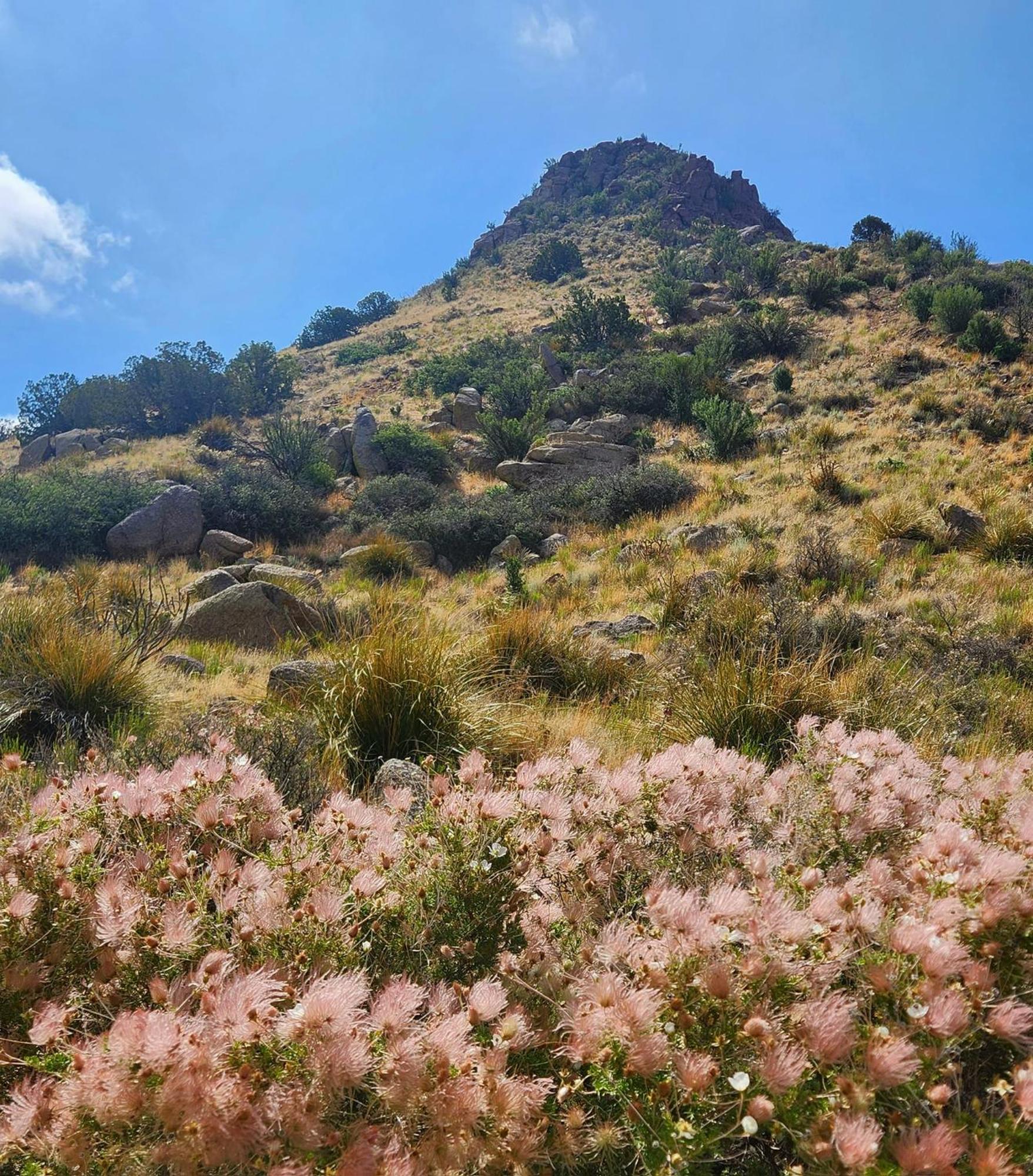 Tranquil Trails -quiet Area - Pet Friendly - By I-40 *