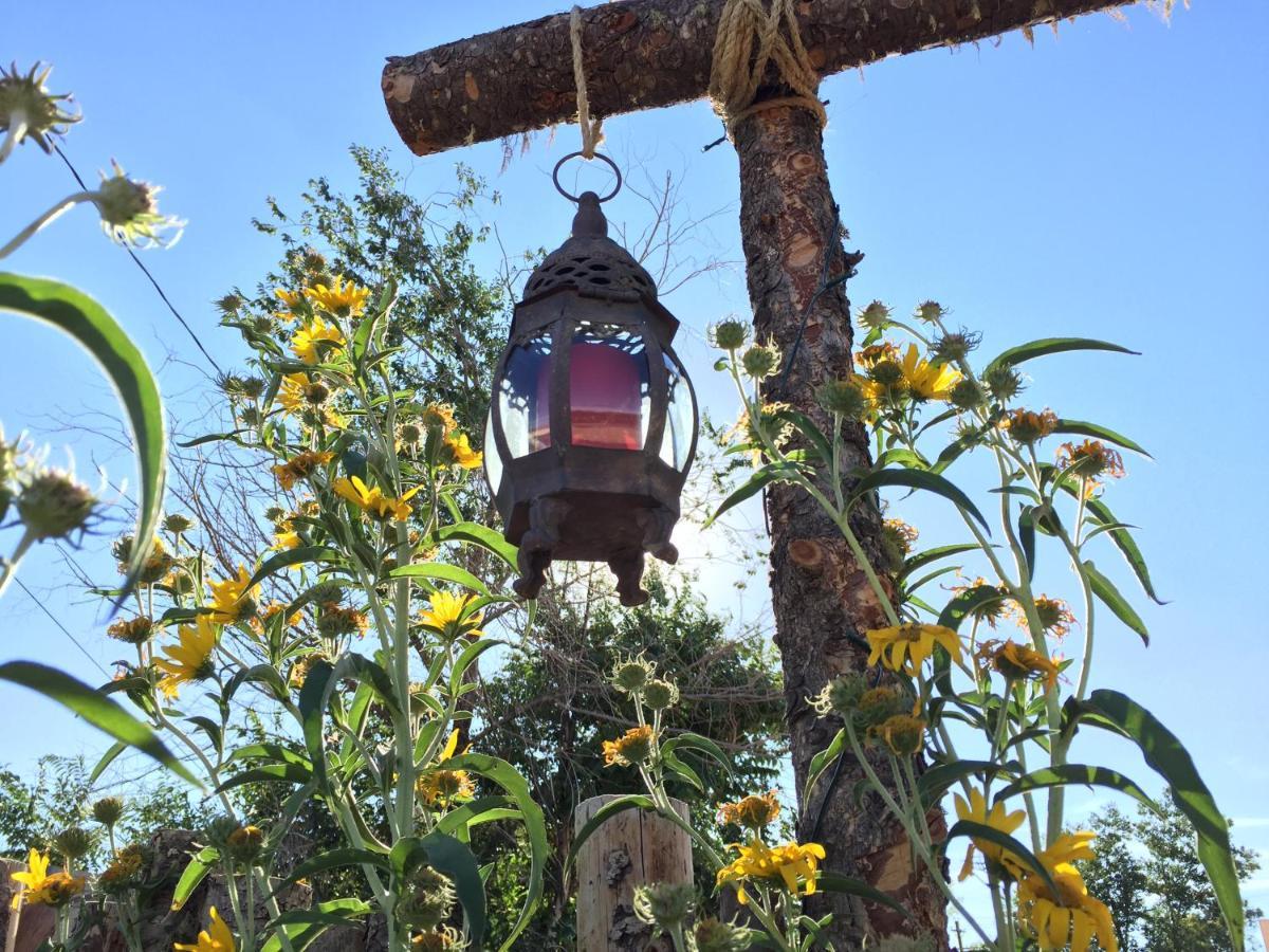Painted Lady Bed & Brew Bed & Breakfast