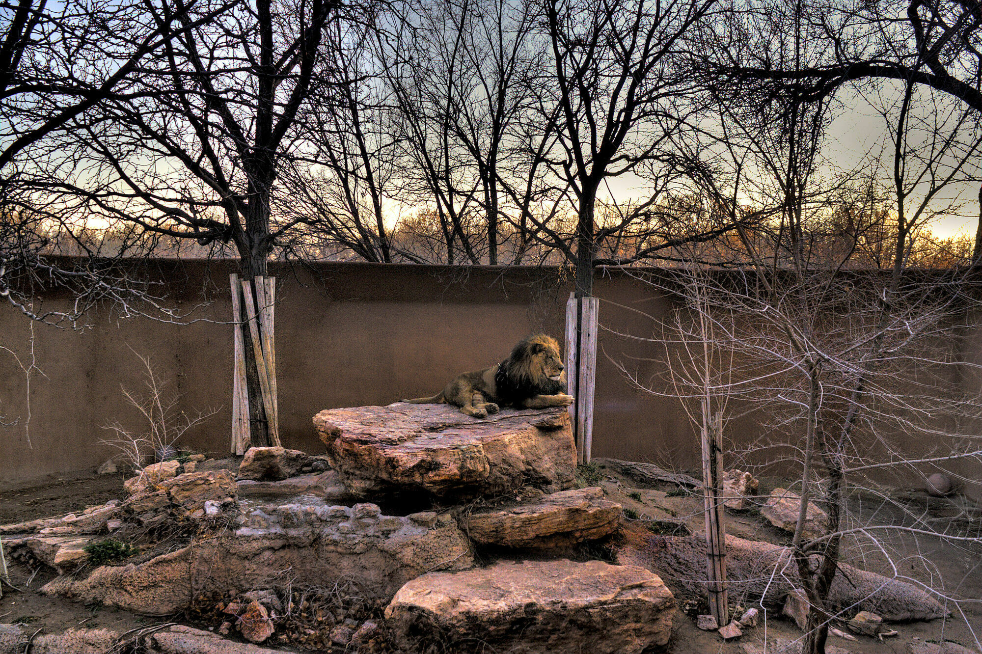 Best Western Plus Rio Grande Albuquerque