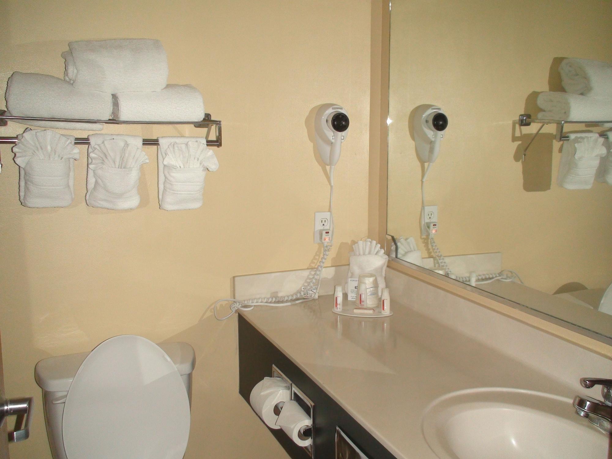 Days & By Wyndham Airport Hotel 2*